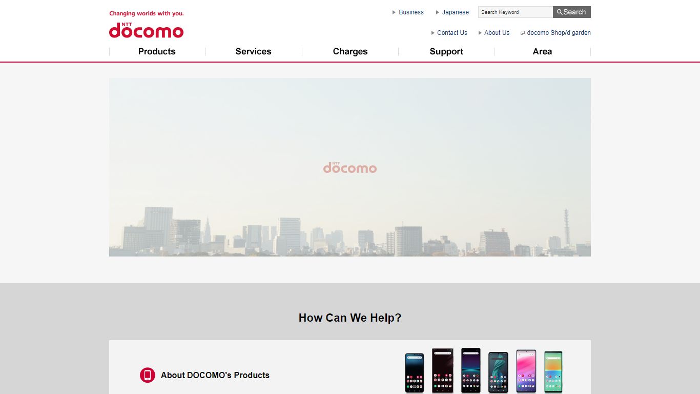NTT DOCOMO Home
